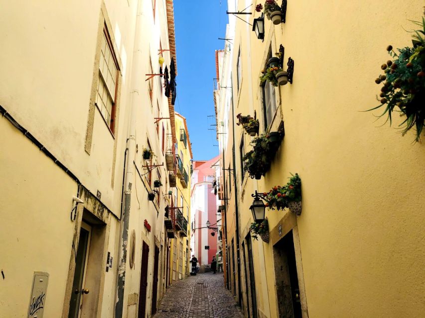 Tuk Tuk Old Lisbon Tour 1,5h - Santa Luzia and Portas do Sol: viewpoints that feel walkable