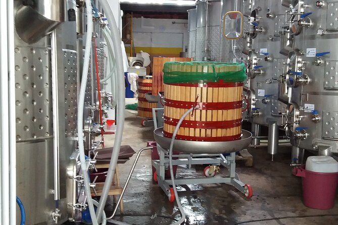 Urban winery tour, premium tasting flight & tapas - Adega Belem Urban Winery: A modern lesson in historic Belém