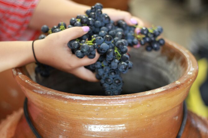Urban winery tour, premium tasting flight & tapas - What you should expect to taste: wine styles that teach the most