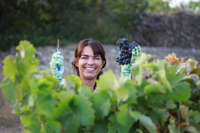 Urban winery tour, premium tasting flight & tapas - Logistics you’ll actually care about in Lisbon