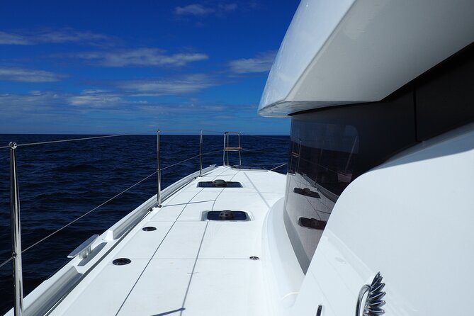 VIP Catamaran Private Tour in Lisbon up to 18 clients - Price and Value: When a Private Boat Makes Sense