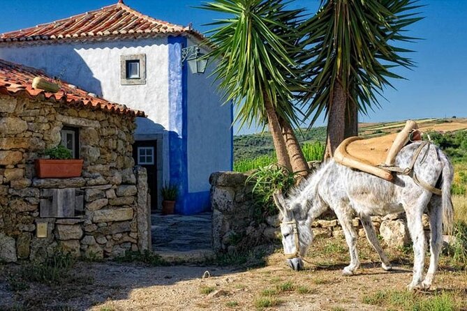Visit to Queluz Palace and Mafra Convent - Private Tour - Stop 4: Ericeira for seafood lunch and surf-town energy