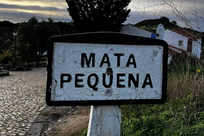 Visit to Queluz Palace and Mafra Convent - Private Tour - Price and value: what $192.04 buys you for an 8-hour private day