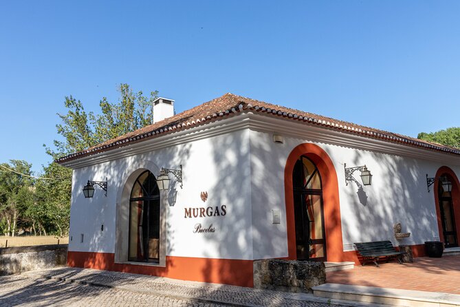 Wine tasting at Quinta das Murgas - Vertical tasting of Murgas DOC Bucelas: what you’re really learning