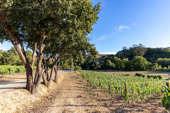 Wine tasting at Quinta das Murgas - Logistics that matter: meeting point, timing, and group size