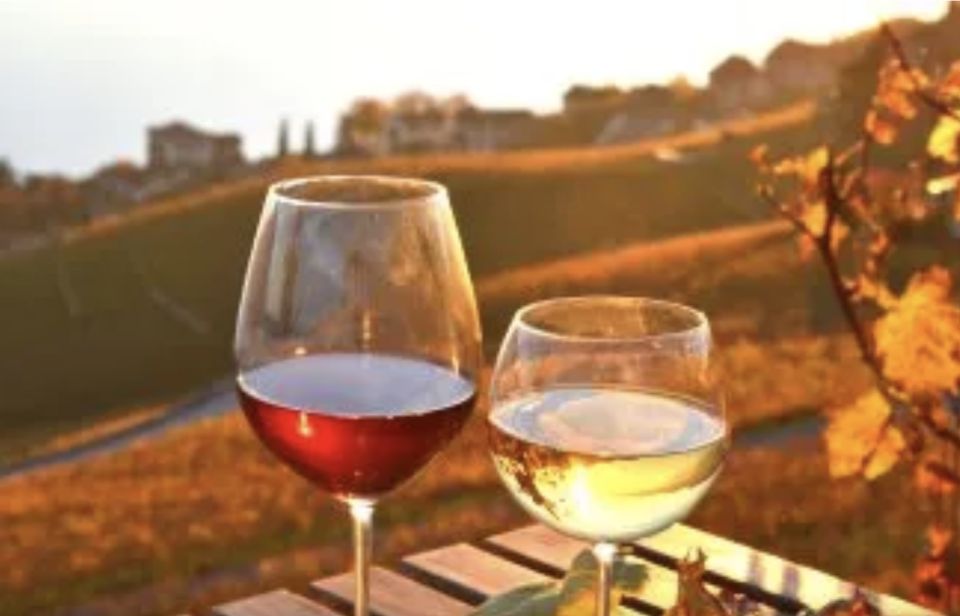Wine Tasting - Private Half-Day Tour - Lisbon pickup to Setúbal District: the drive matters more than you think