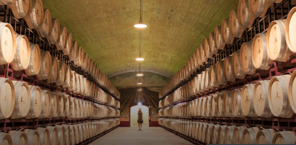 Wine Tasting - Private Half-Day Tour - The wine tasting: how to make it enjoyable, not just “more wine”