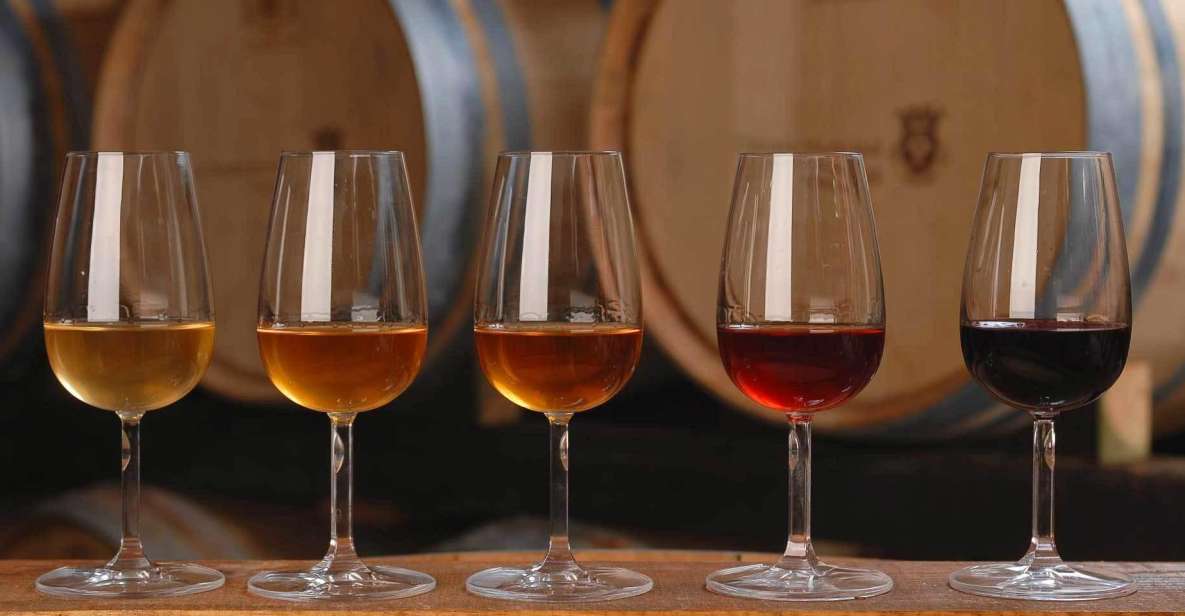 Wine Tasting - Private Half-Day Tour - Your group setup and guide language: small group, big difference in comfort