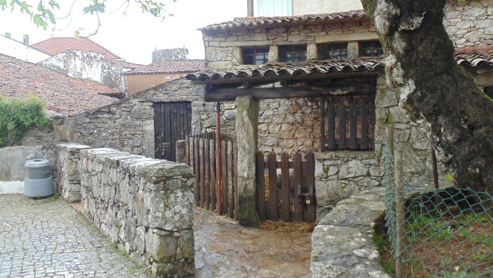 Wonders of Fátima Half Day Private Tour - Sanctuary of Our Lady of Fátima: Chapel of Apparitions + Shrine Grounds