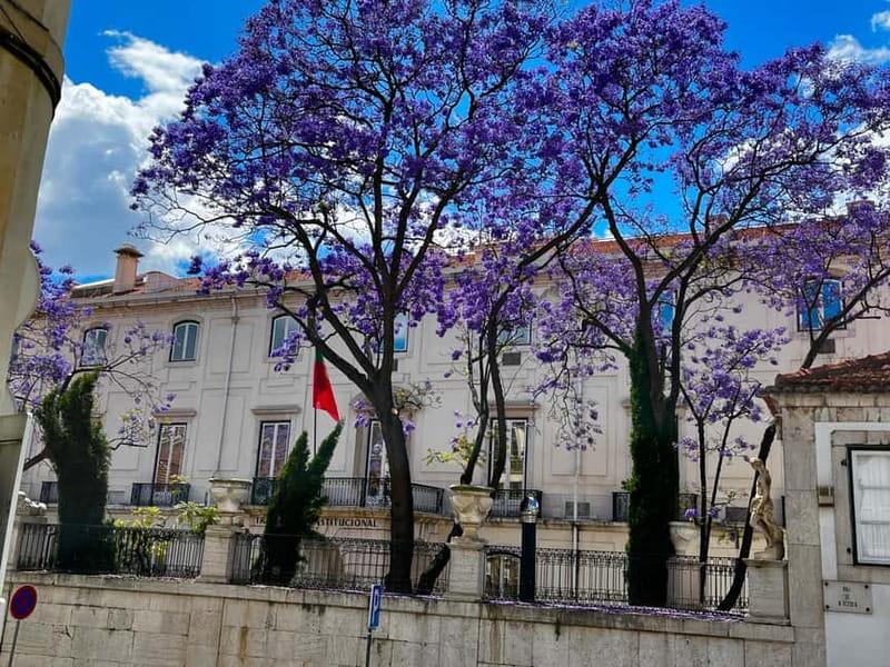 Лиссабон: сверху вниз под правдивые и вымышленные истории - Glória lift to Bairro Alto: Lisbon’s vertical transport culture